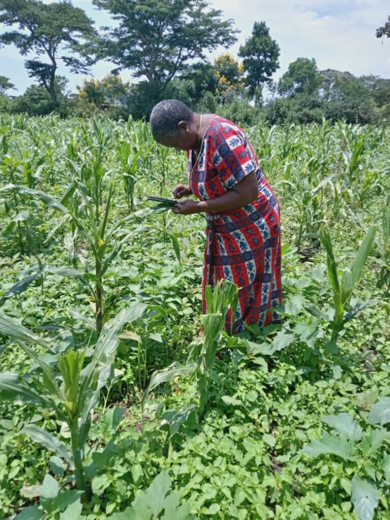 Using technology to aid farming in rural Tanzania